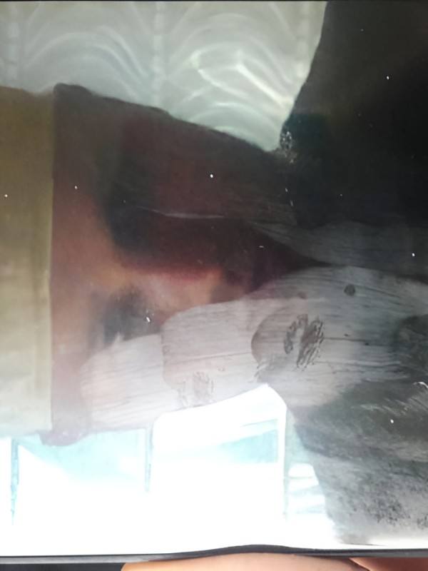 Тамара привлекательная девушка из Бузулука цена от 4000 руб